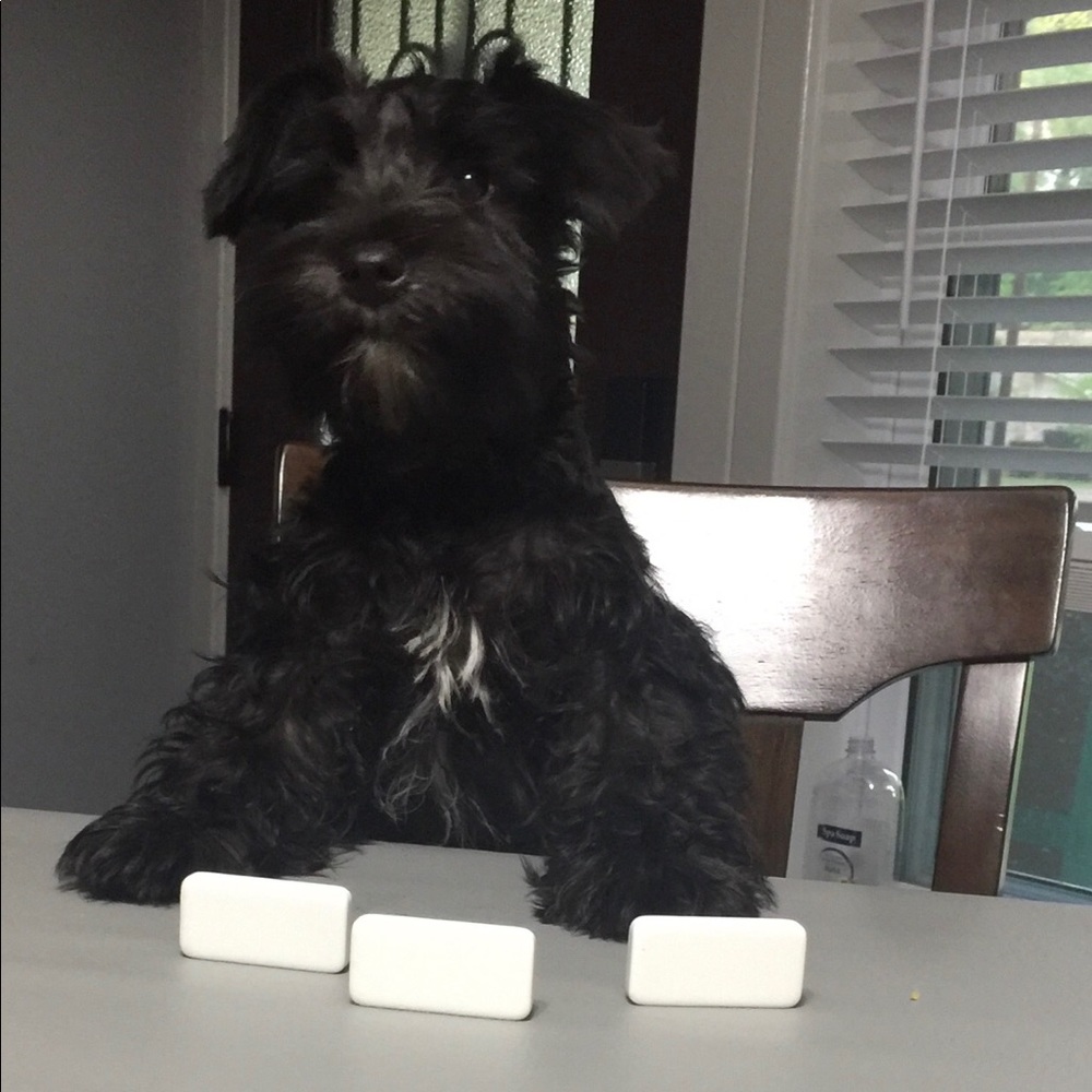 Meet your Posher, Laney